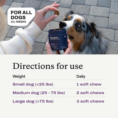 Allergy & Itch Chews