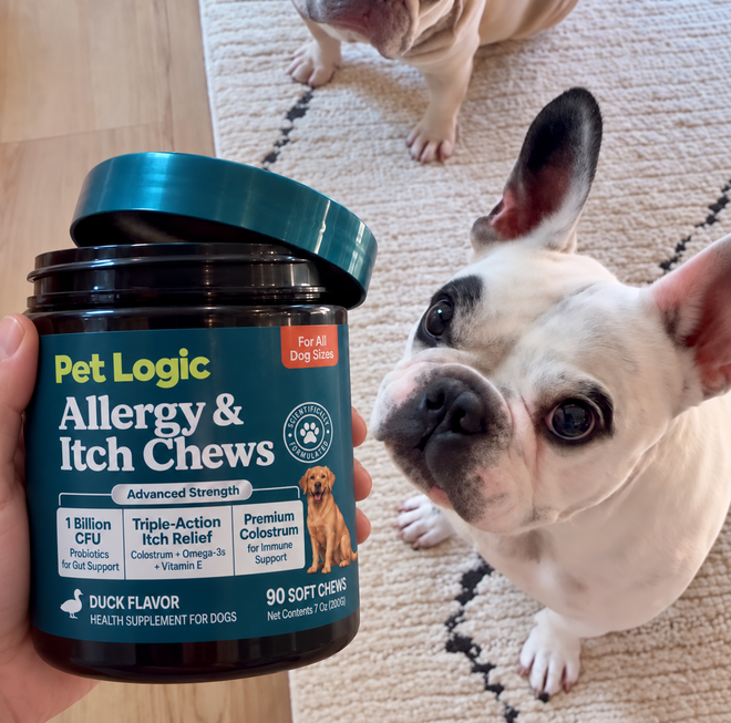 waltergeoffreythefrenchie