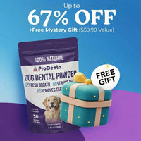 Dog Dental Gum